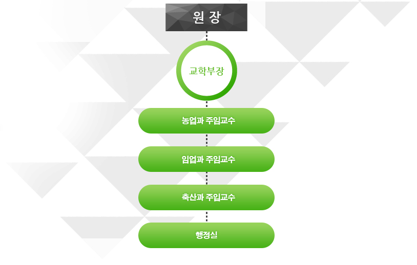 농촌사회교육원 조직도